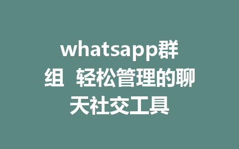 whatsapp群组  轻松管理的聊天社交工具