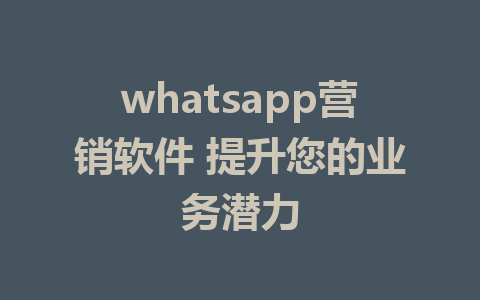 whatsapp营销软件 提升您的业务潜力