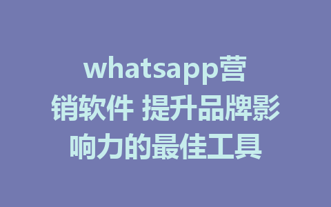 whatsapp营销软件 提升品牌影响力的最佳工具