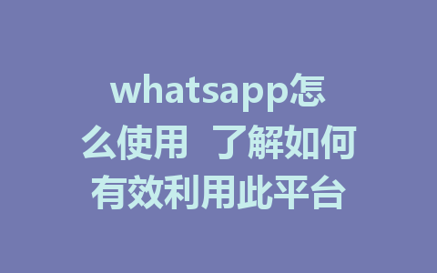 whatsapp怎么使用  了解如何有效利用此平台